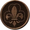 ISGF - zelená