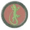 Ještěrka