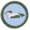 Kajka