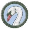 Labuť