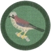 Sojka 1