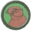 Svišť 1
