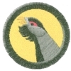 Tetřev