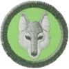 Vlče