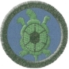 Želva
