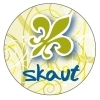 Placka 25 Skaut zelená