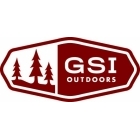 GSI