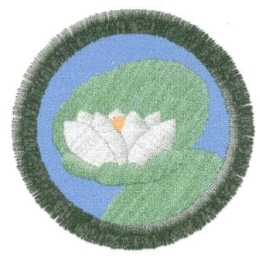 Leknín