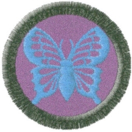 Motýl