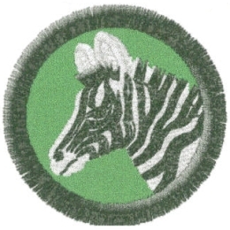 Zebra