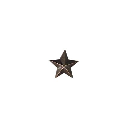 Hvězdička