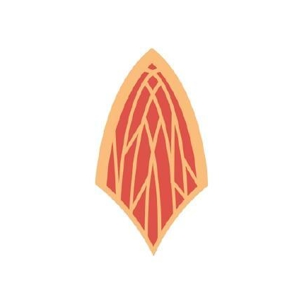 Nášivka - cesta ohně (nová)
