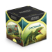 Vědomostní pexeso – Dinosauři - 1