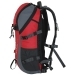 Doldy Nuovo 17 - 4